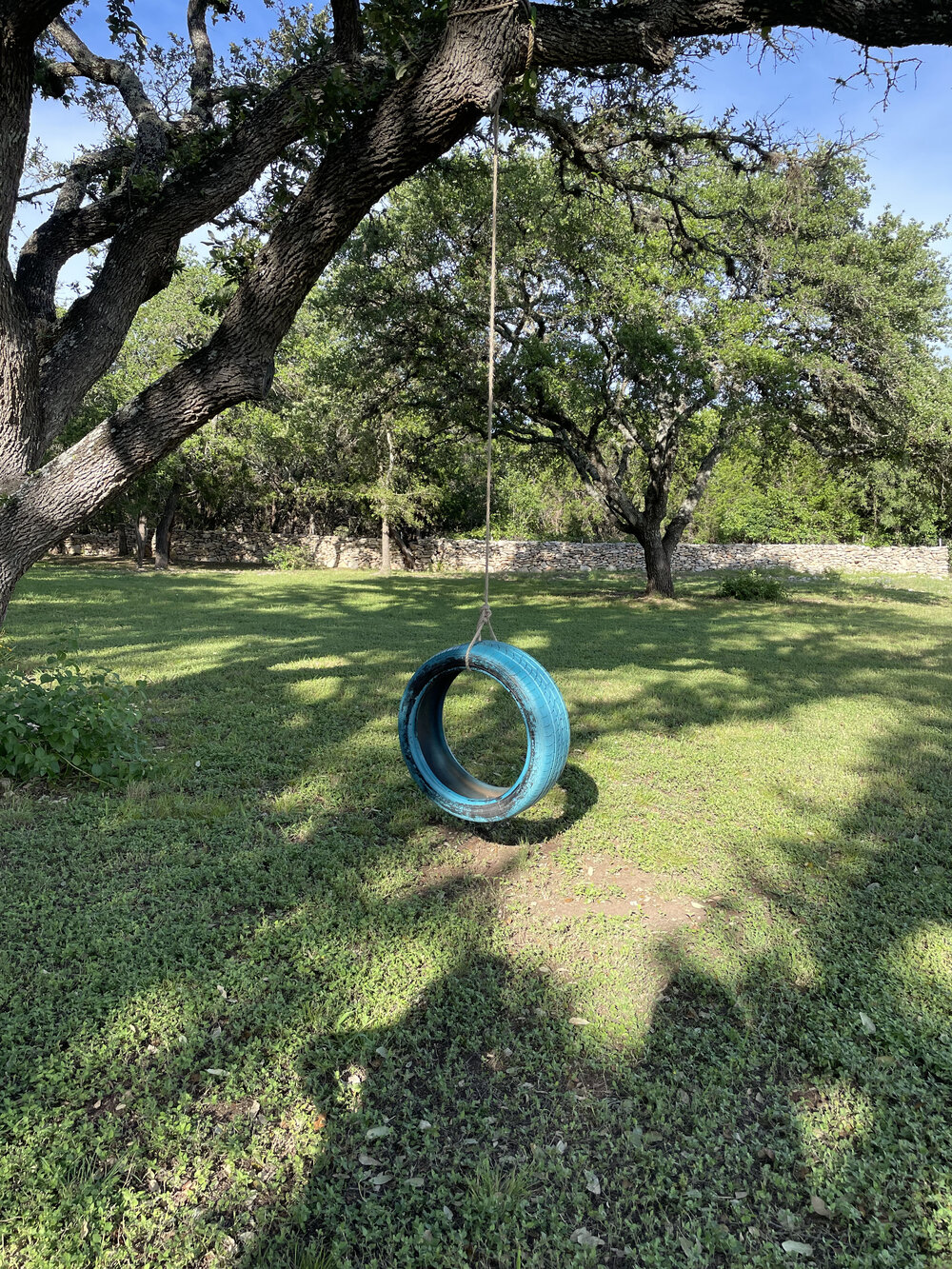 backyard swing