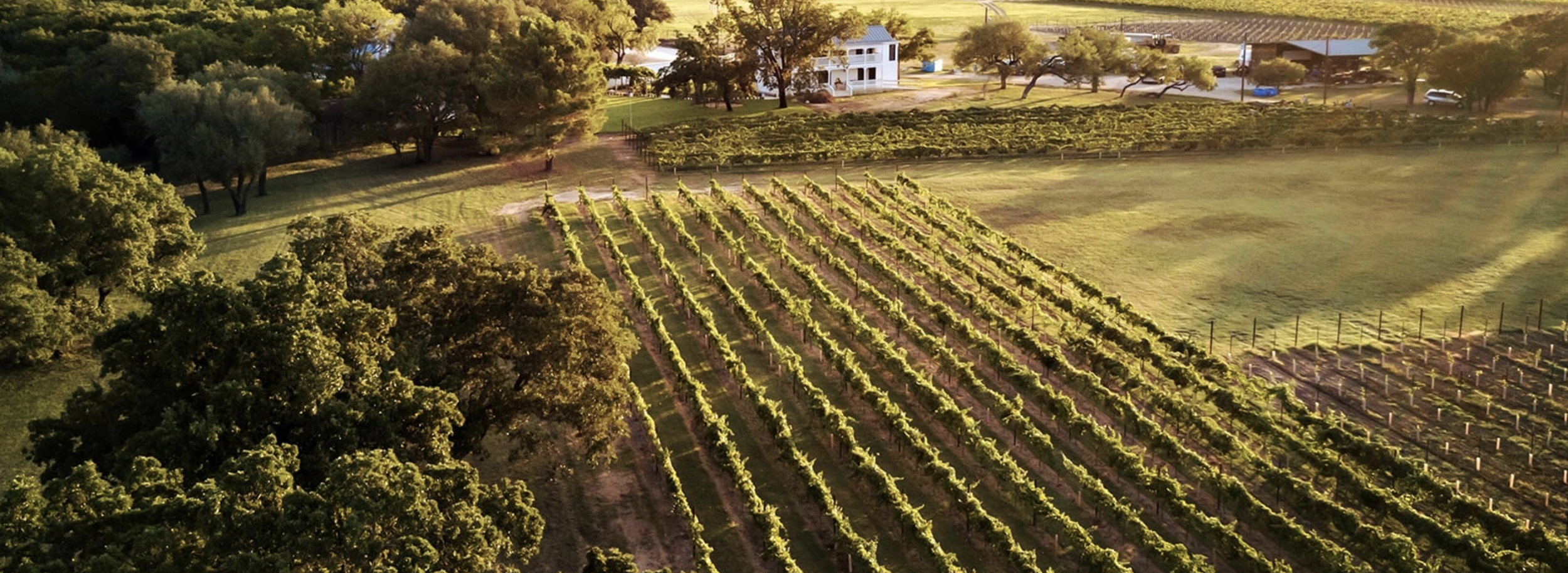 FAMOUS TEXAS WINERIES ONLY AN HOUR AWAY FROM SAN ANTONIO