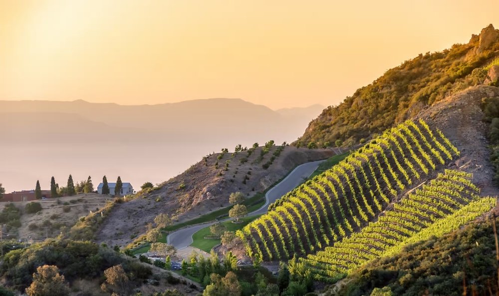 best-malibu-wineries-and-where-to-go-wine-tasting-in-malibu-california.jpg