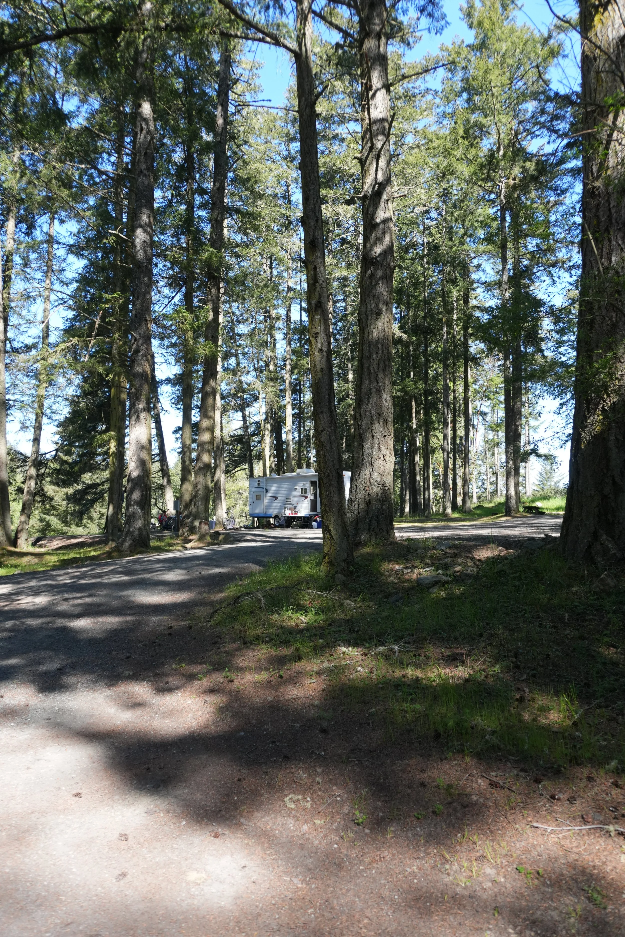 DSC02162.JPG