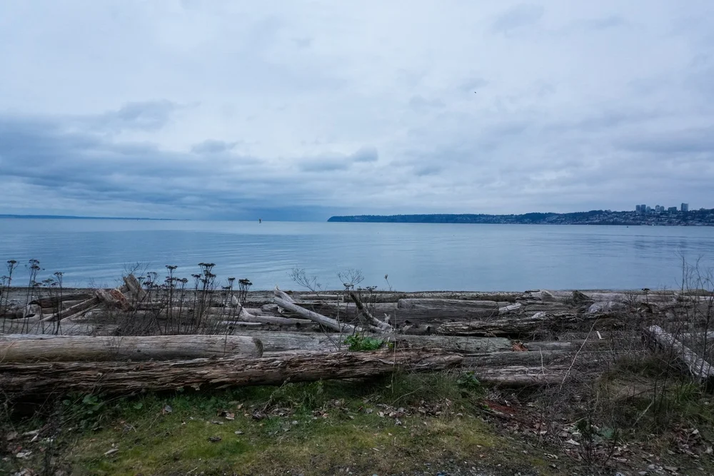 DSC07185.jpeg