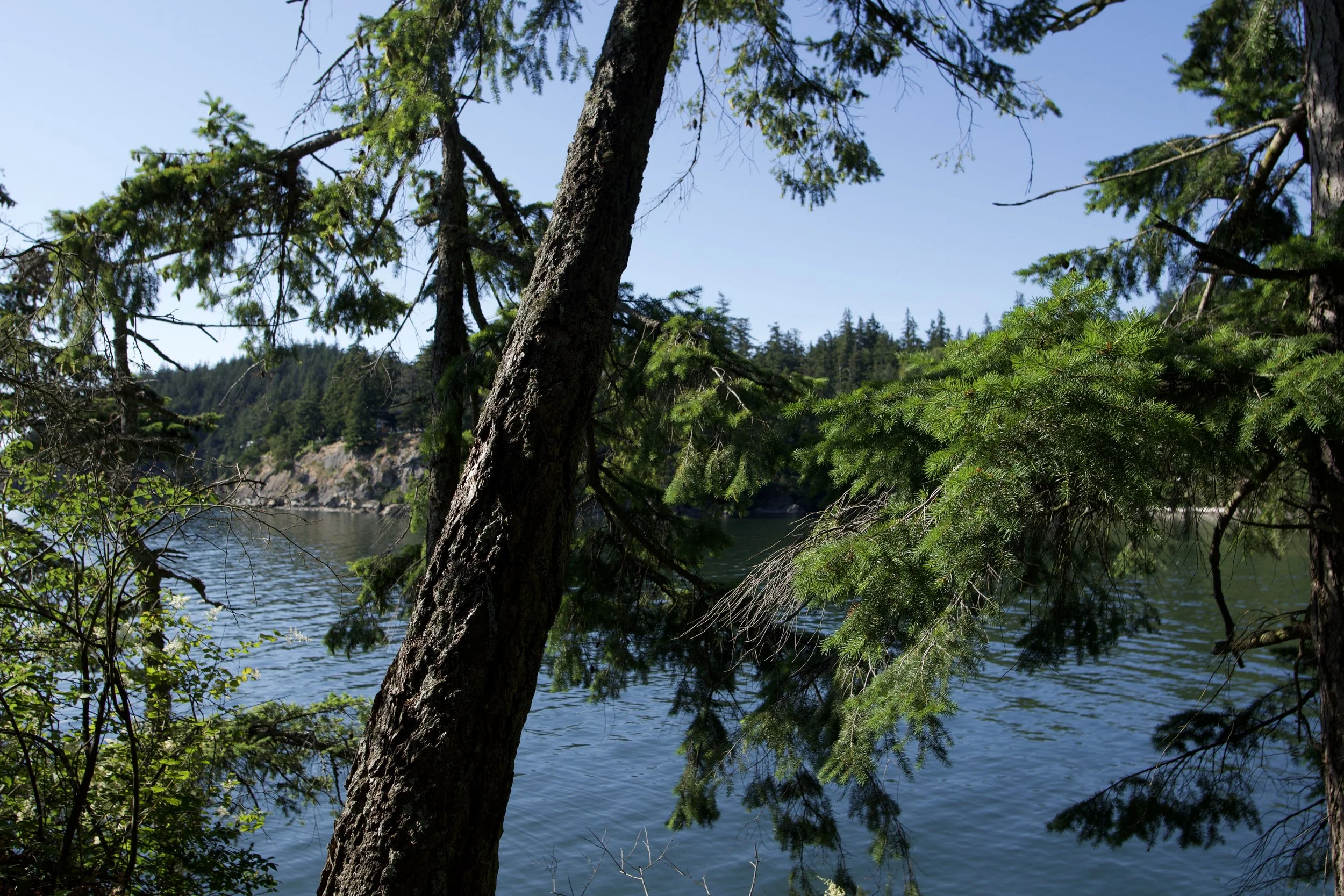 DSC_0225.jpeg