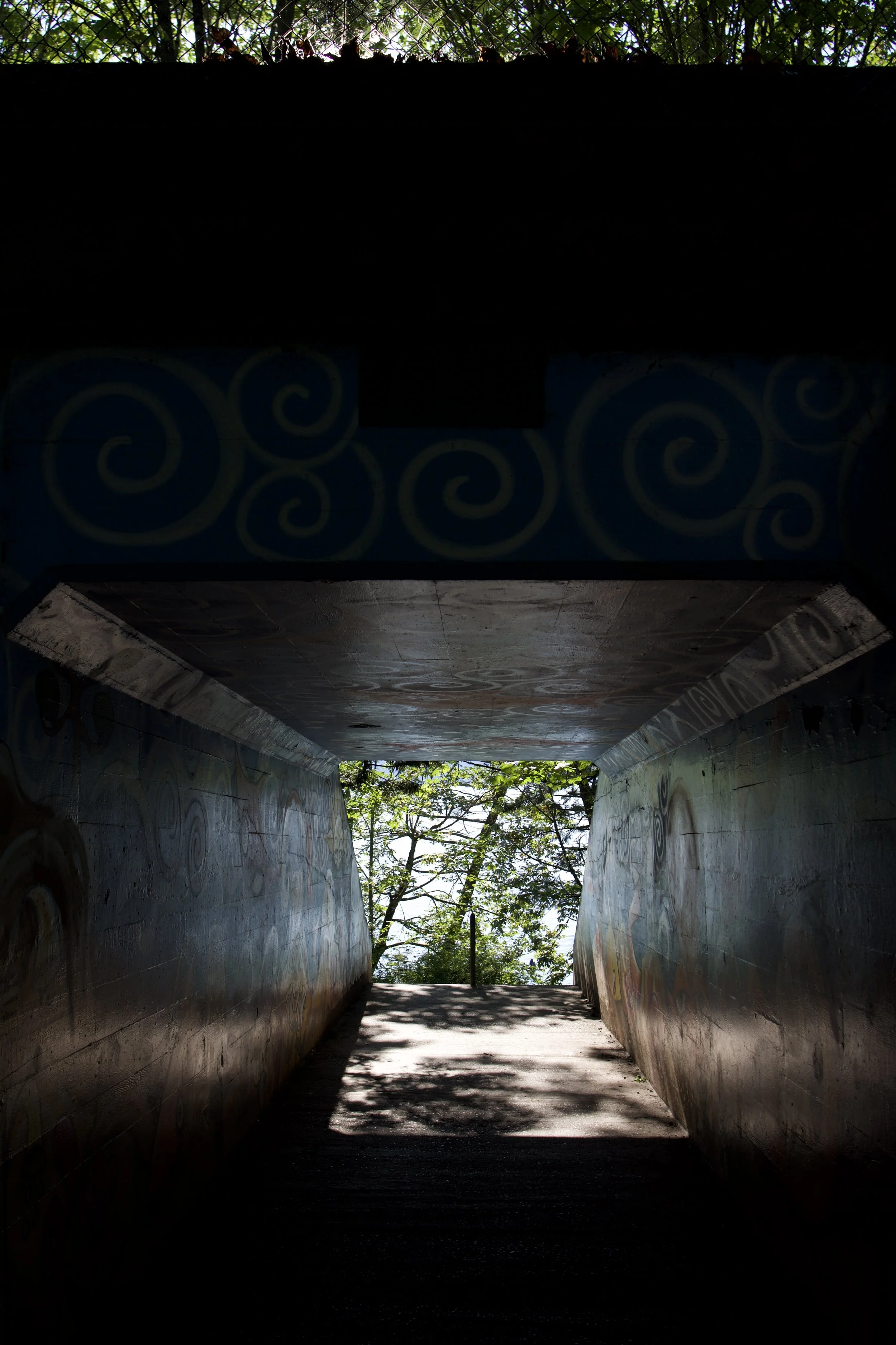 DSC_0793.jpeg