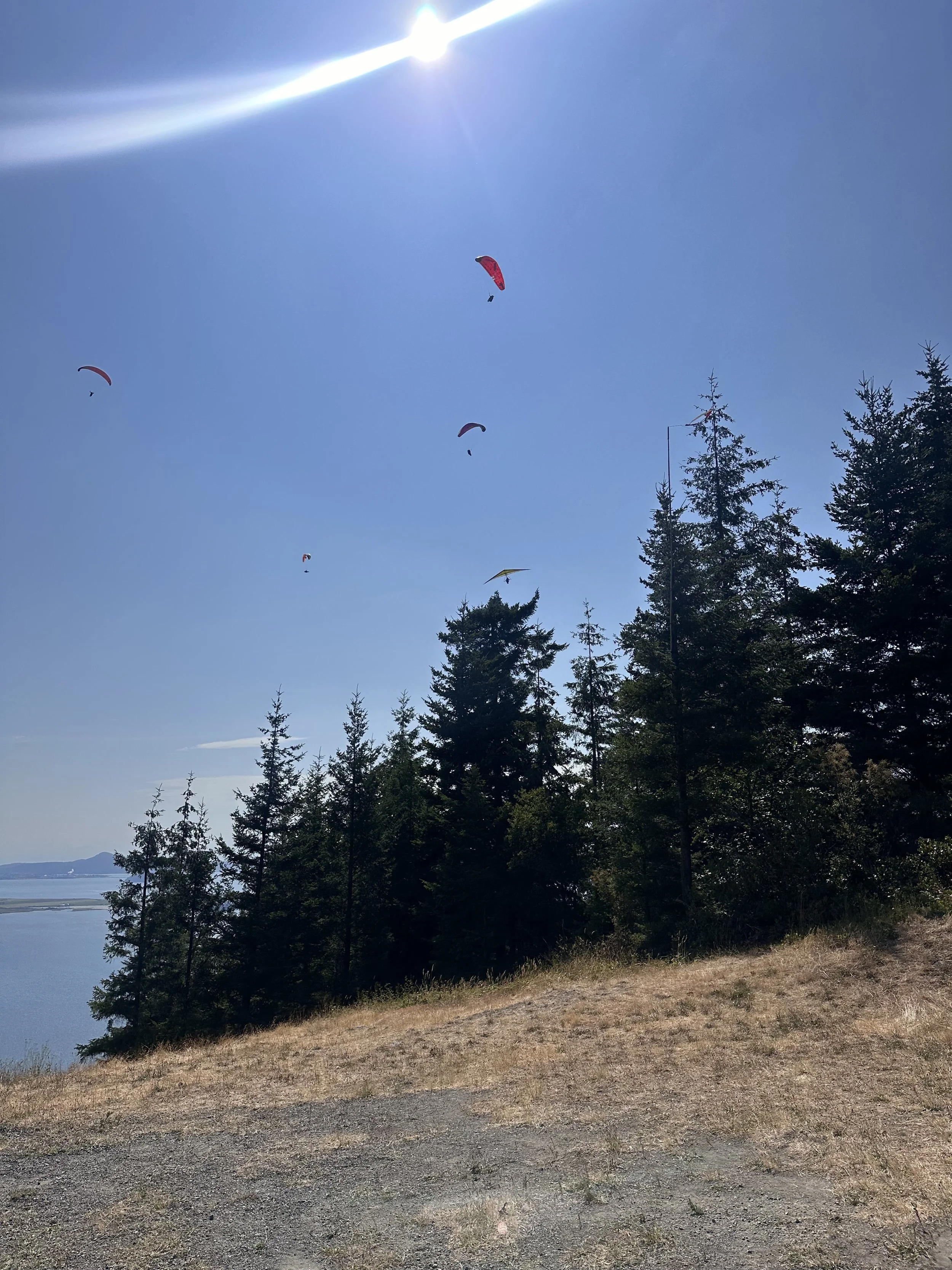 IMG_4143.jpeg