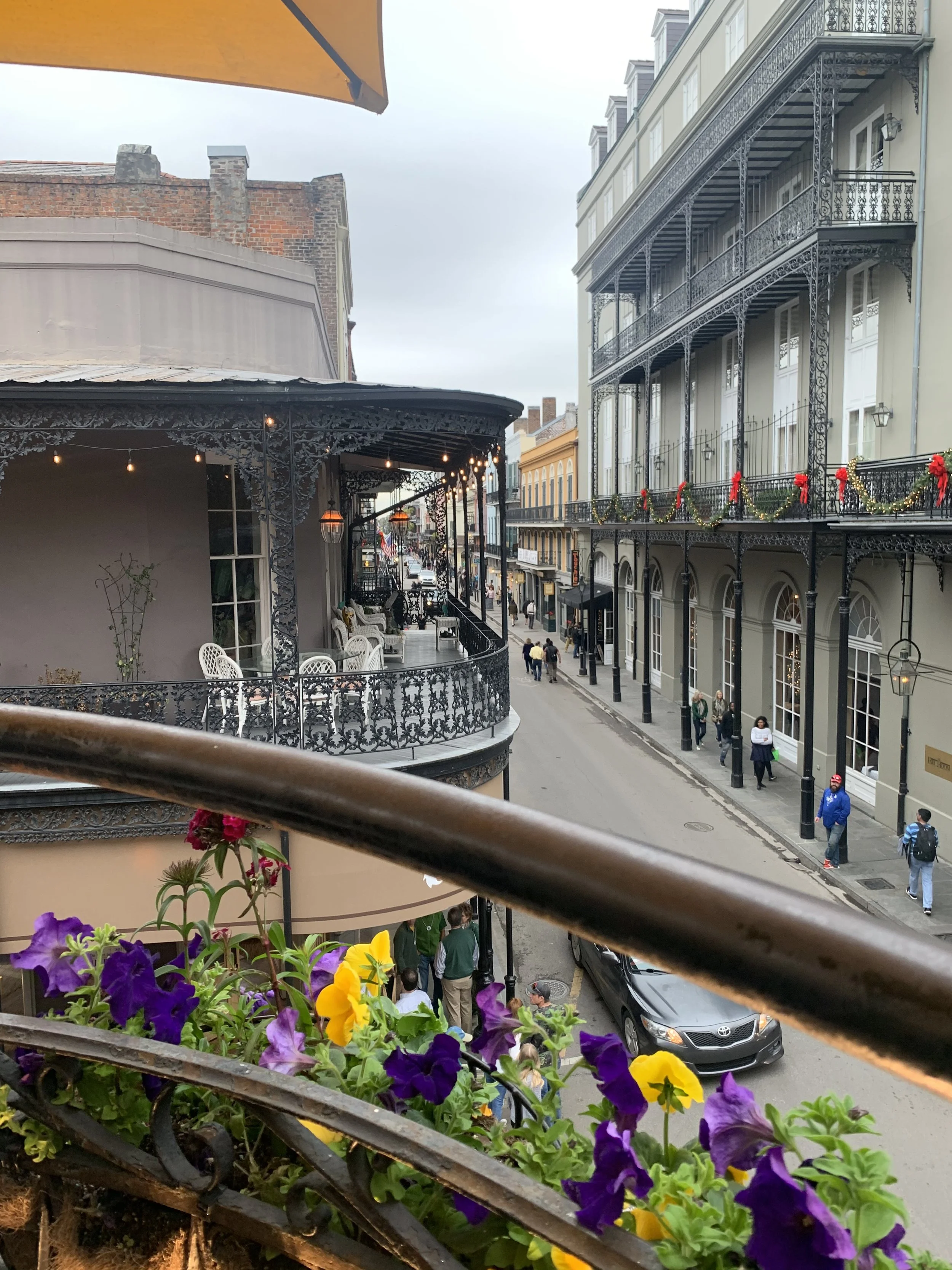IMG_2886.jpeg