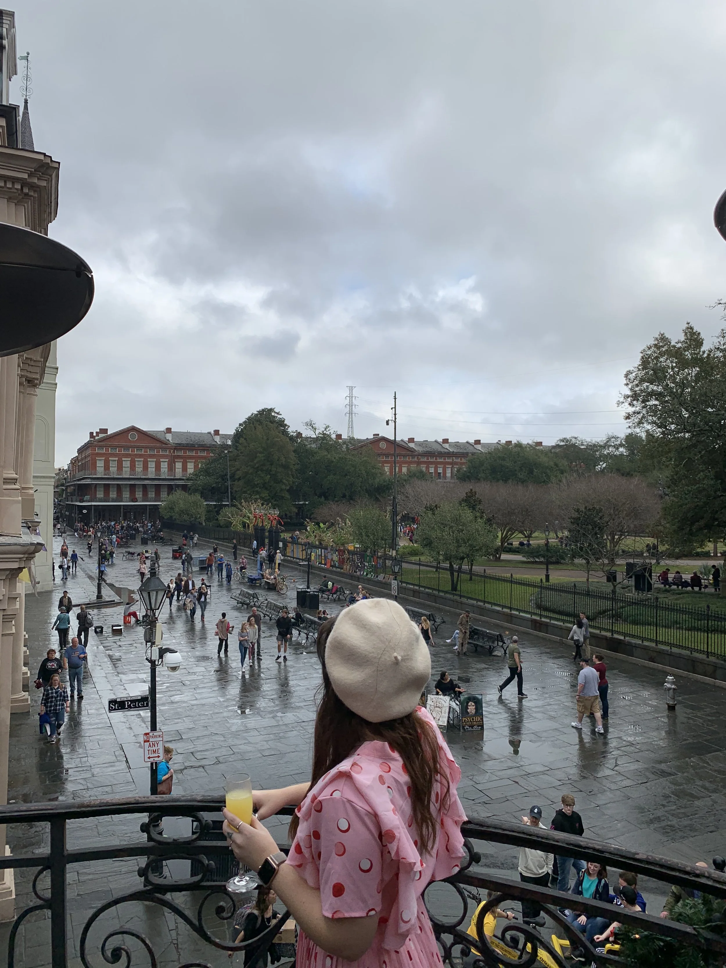 IMG_3084.jpeg