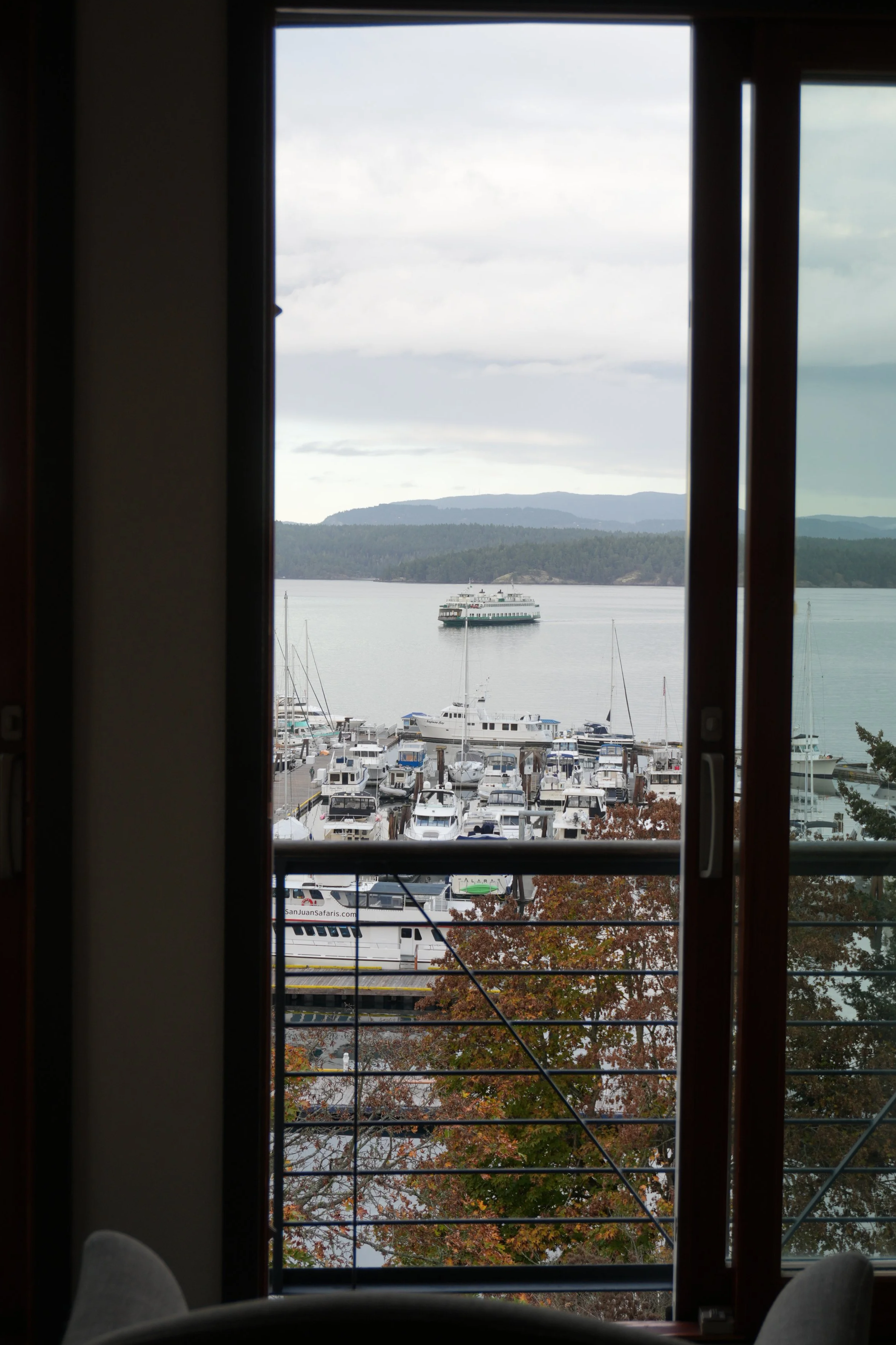 DSC01794.JPG