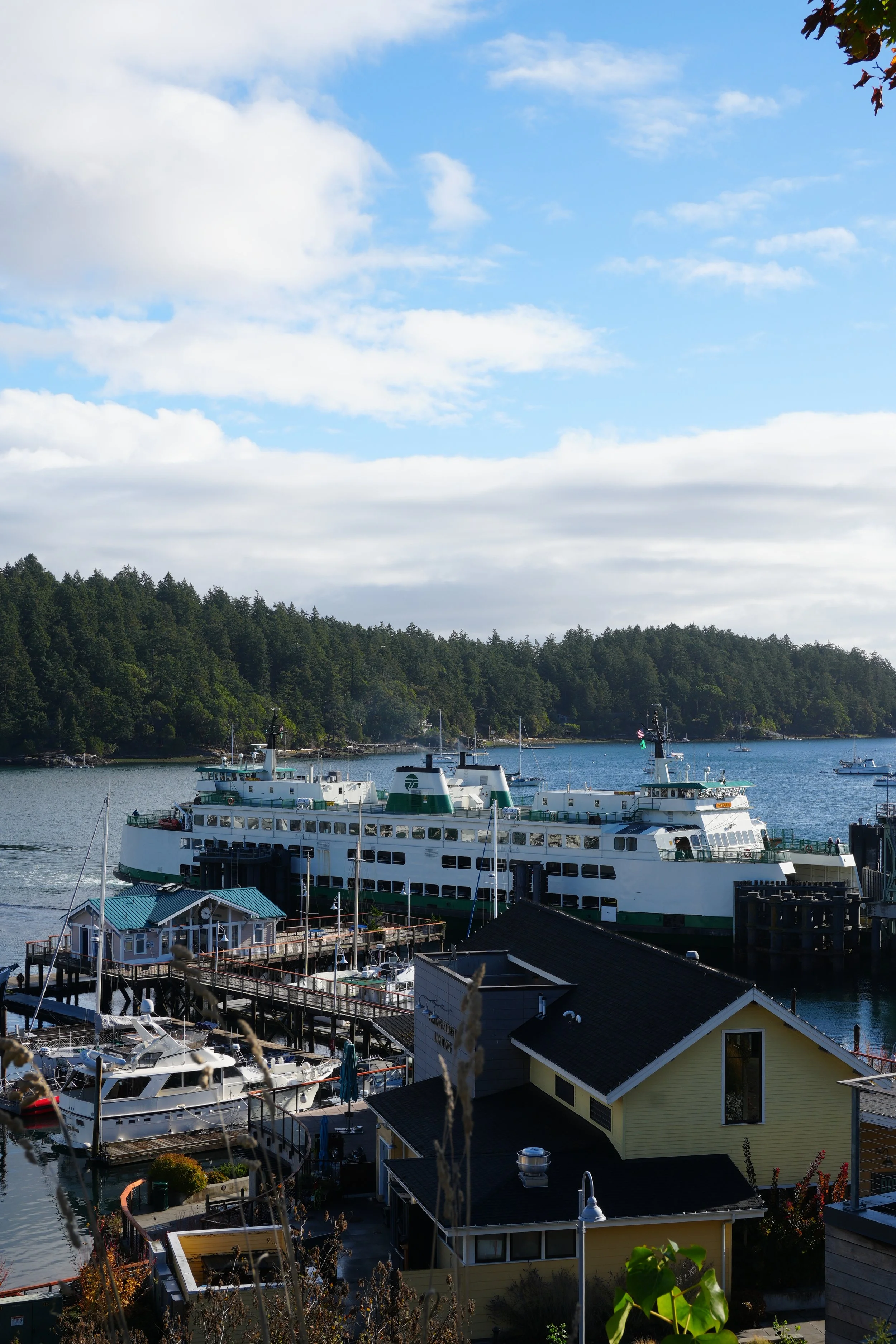 DSC01376.JPG