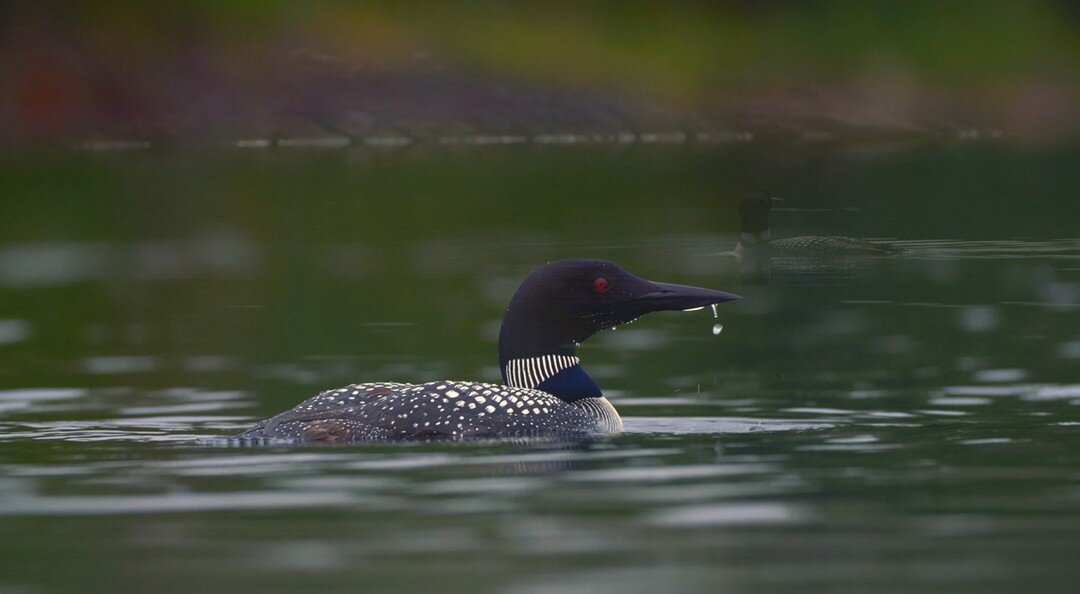 Enjoy a playlist of soothing sounds and inspiring images today! #like #Subscribe #enjoylife 

https://youtube.com/channel/UCVu2Q5cfDW4o2oy7IHiVbyw