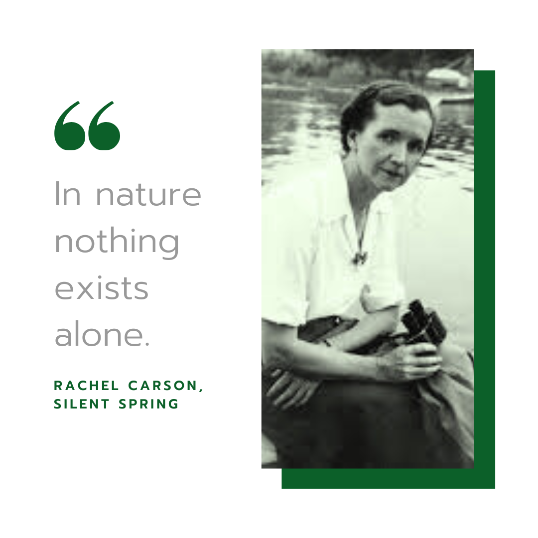 Rachel Carson.png