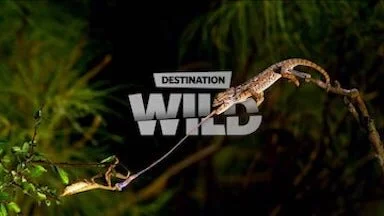 Destination Wild