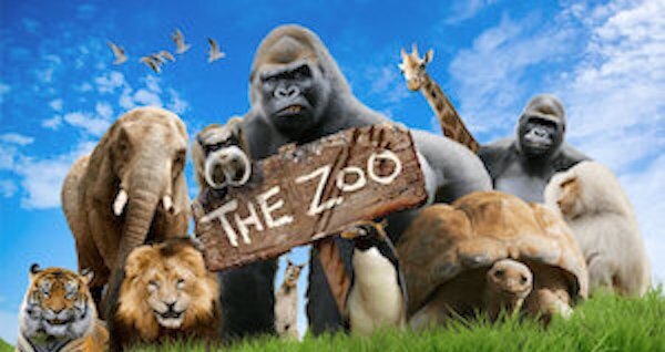 The Zoo