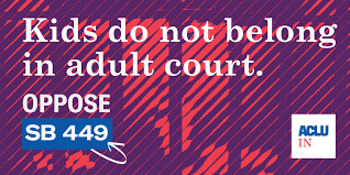 kids do not beolng in adult court.png