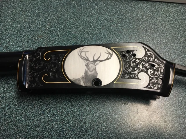 image13.jpeg