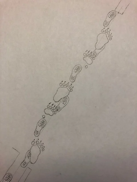 image1 (2).jpeg