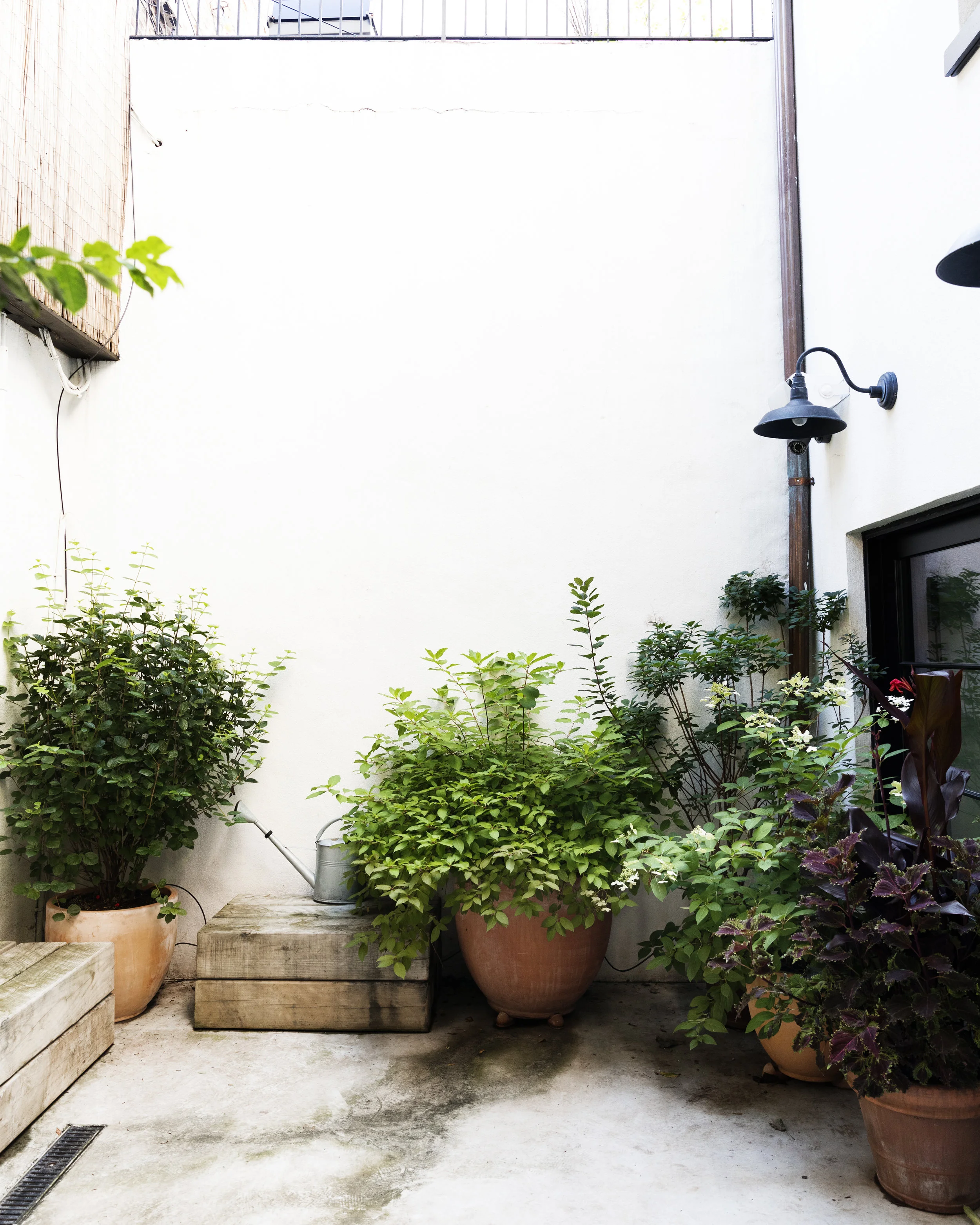 FeroxStudio_JG_BrooklynLandscaping_0484.jpg