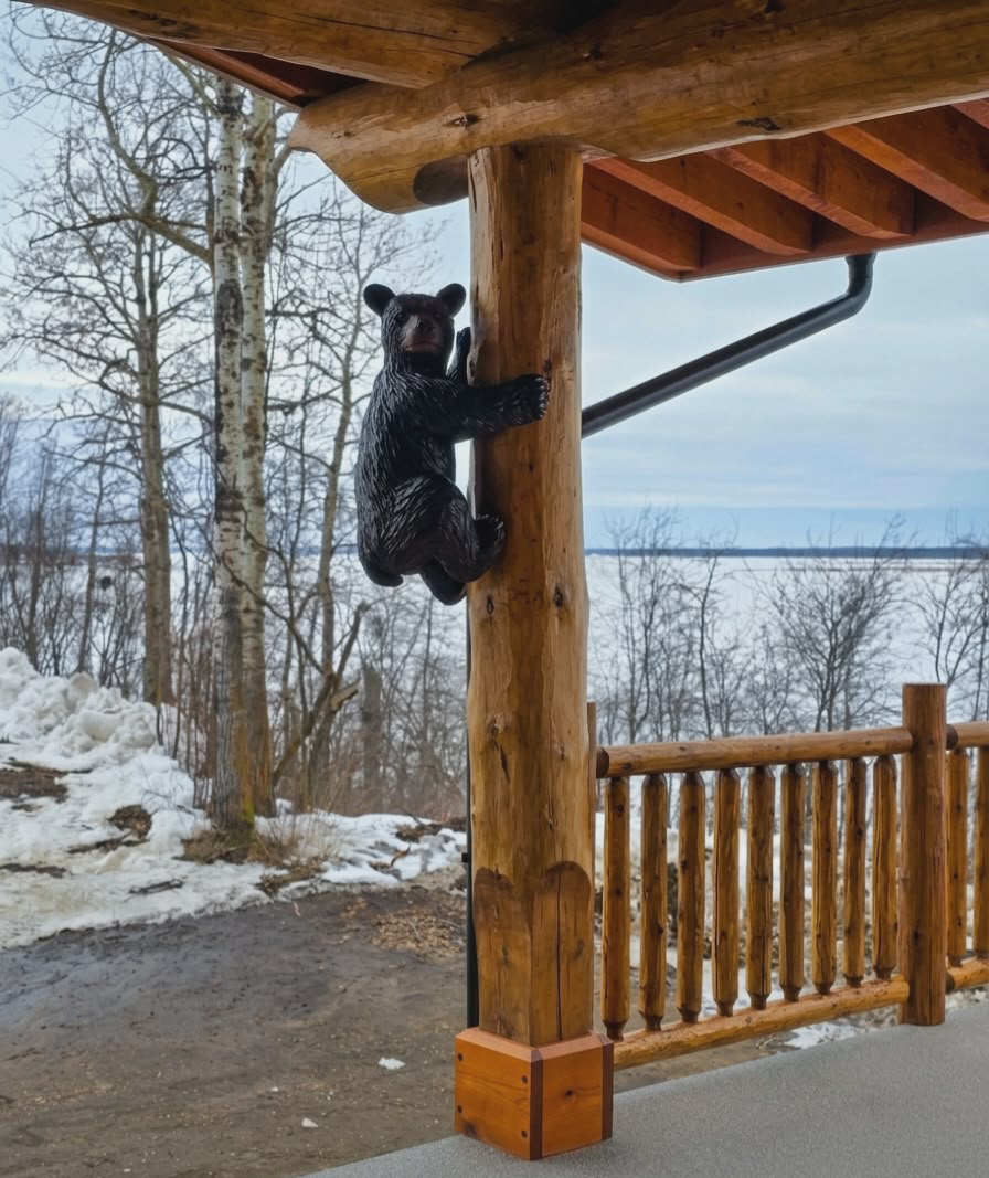 Climbing bear