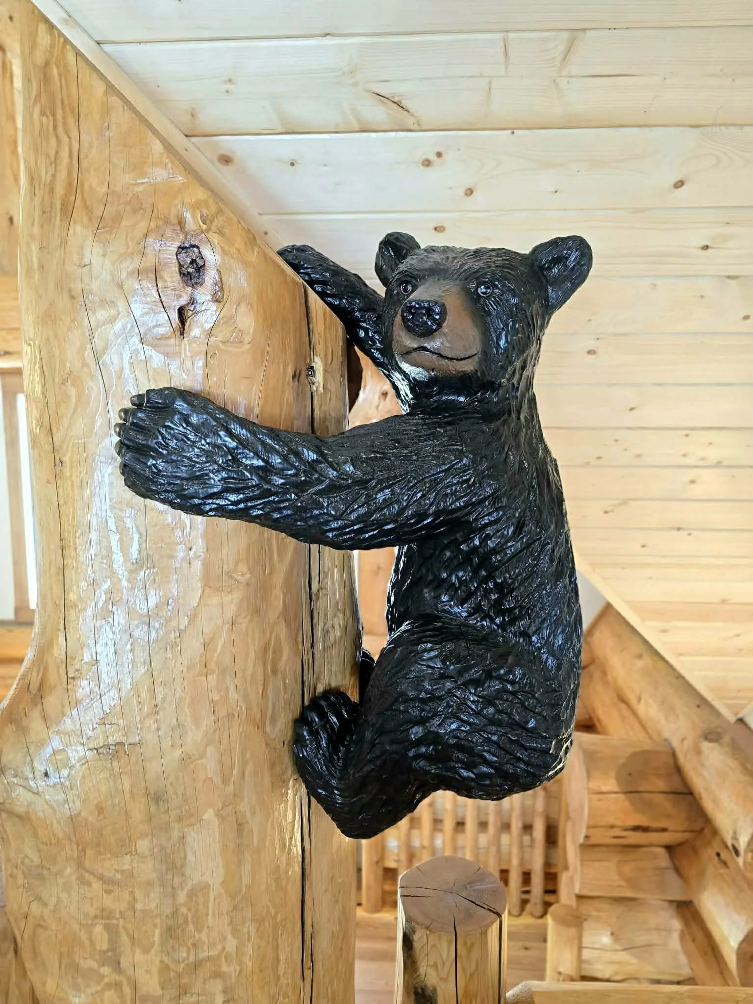 Climbing bear