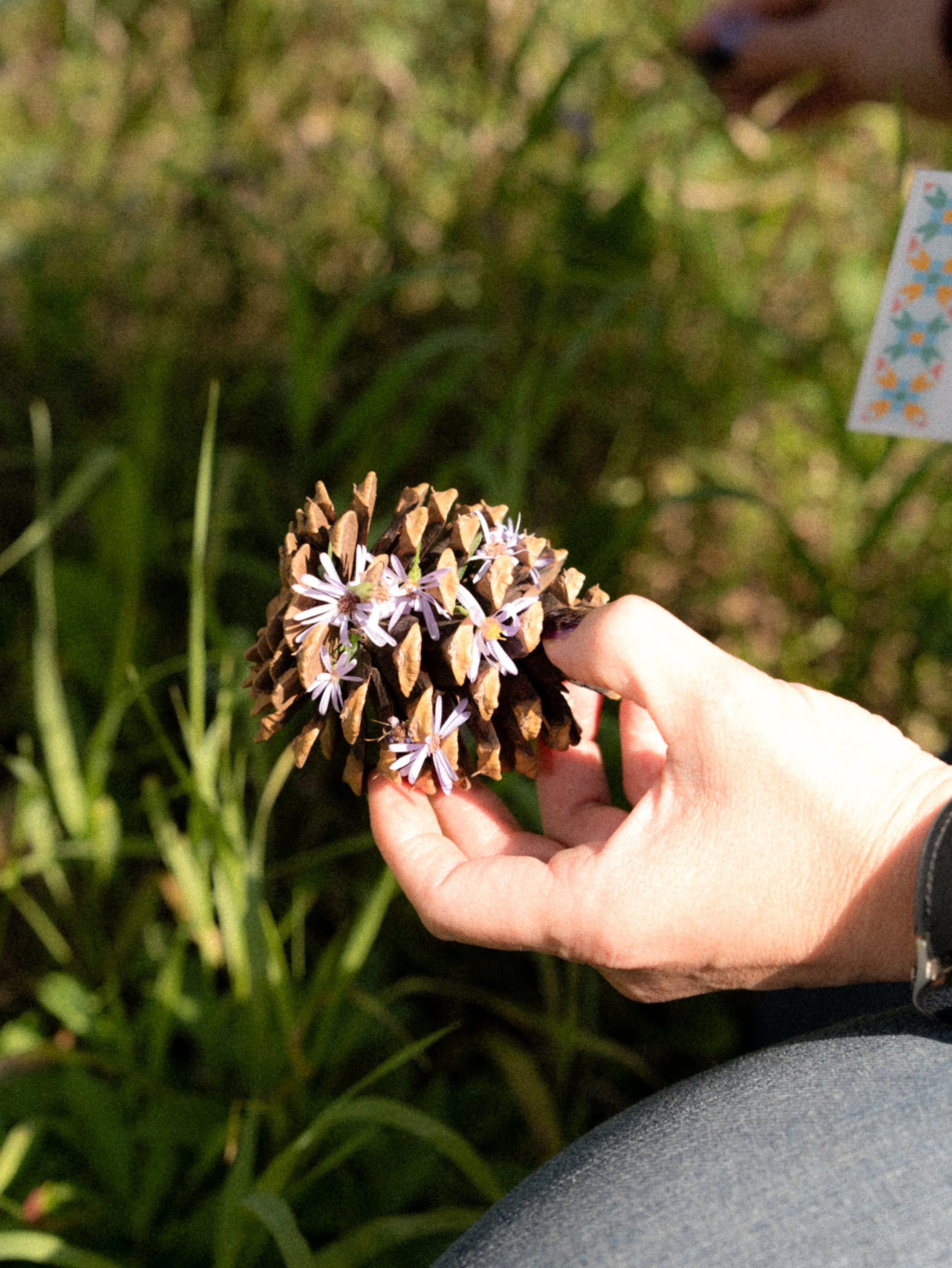 CASAIdeaDay2025 Forest Bathing-16.jpg