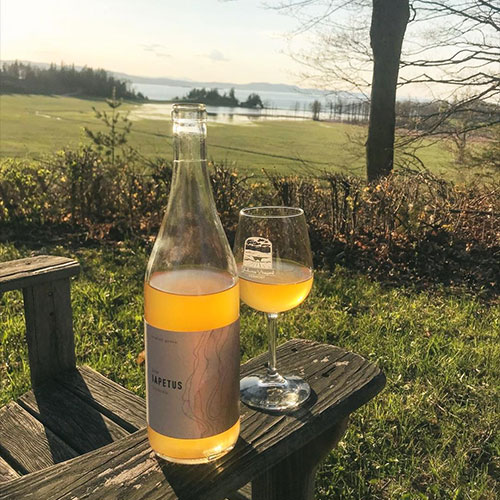 shelburne-vineyard-500px.jpg