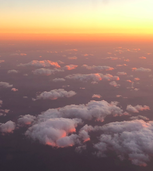 Screen Shot 2018-10-19 at 2.26.22 PM.png