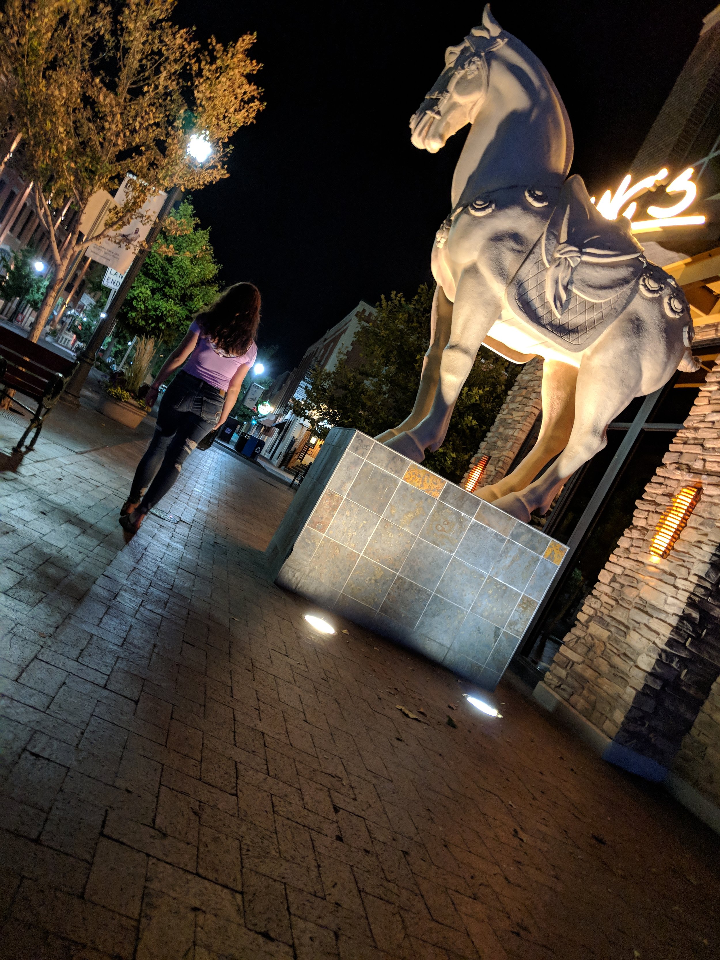 IMG_20180813_215257.jpg