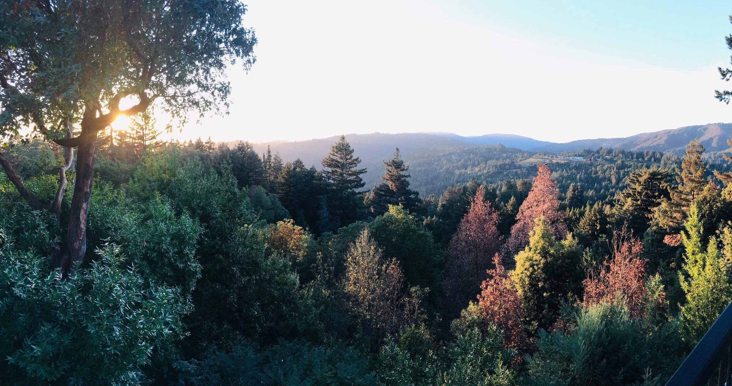 Canyon colors