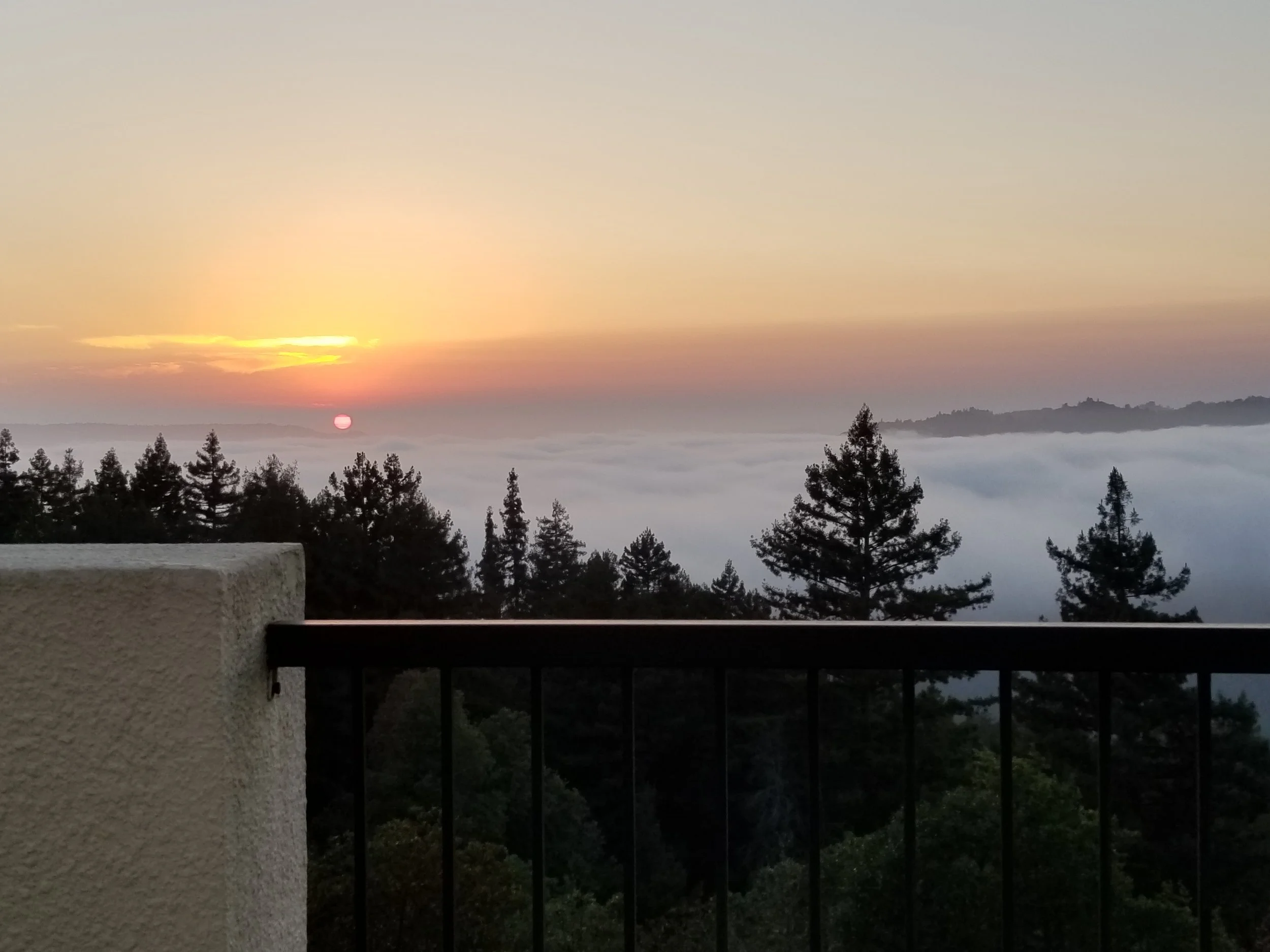 Marine Layer.jpg