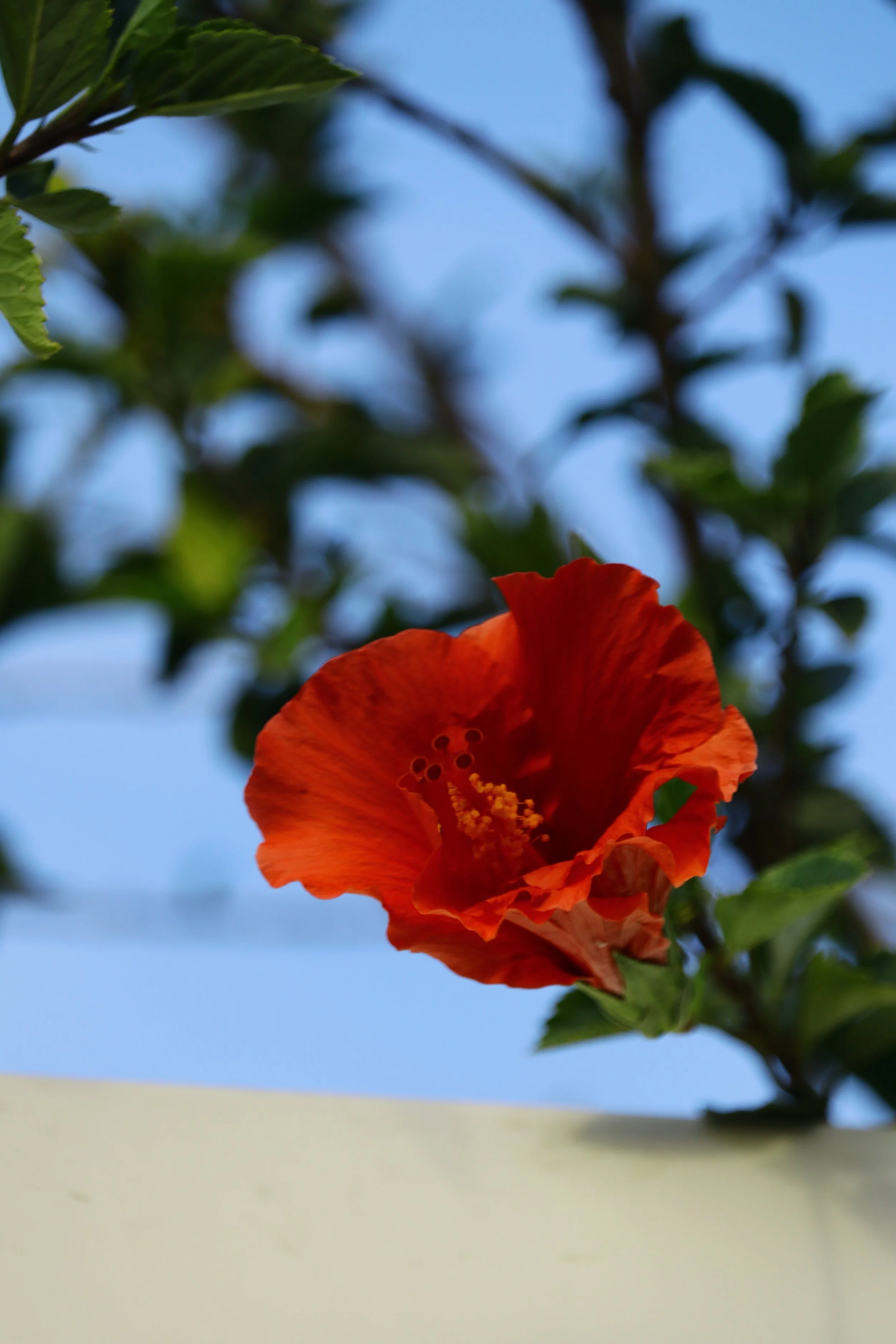 IMG_5139.JPG