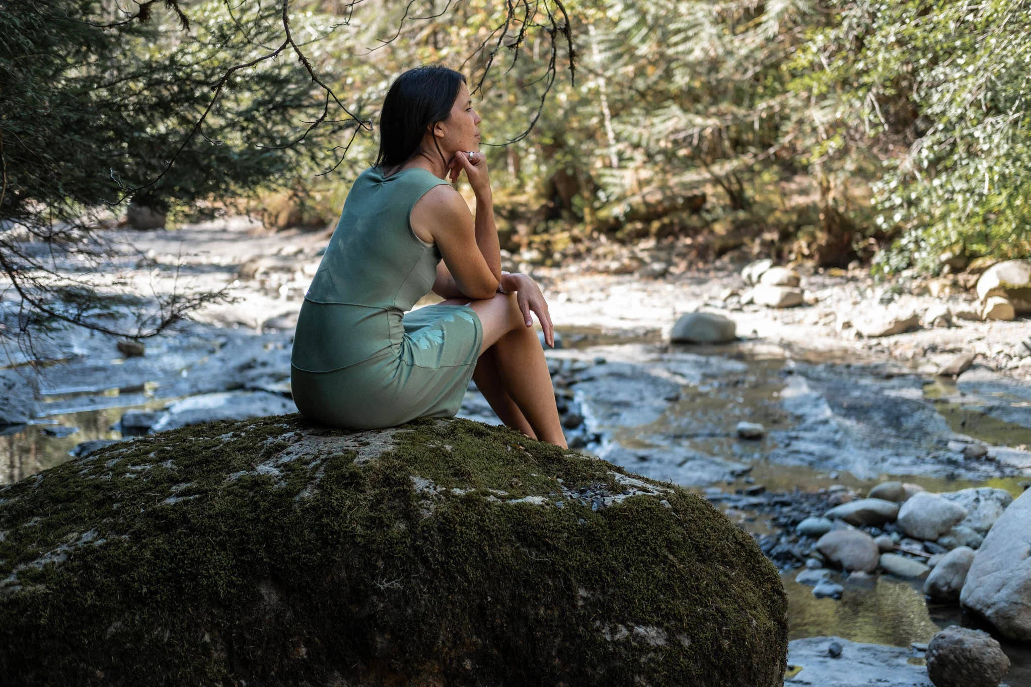 Why Meditate?