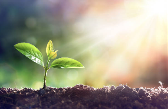 Create a life and business you LOVE