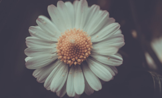 Life on Purpose