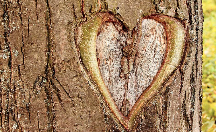 7 Keys to Emotional Freedom
