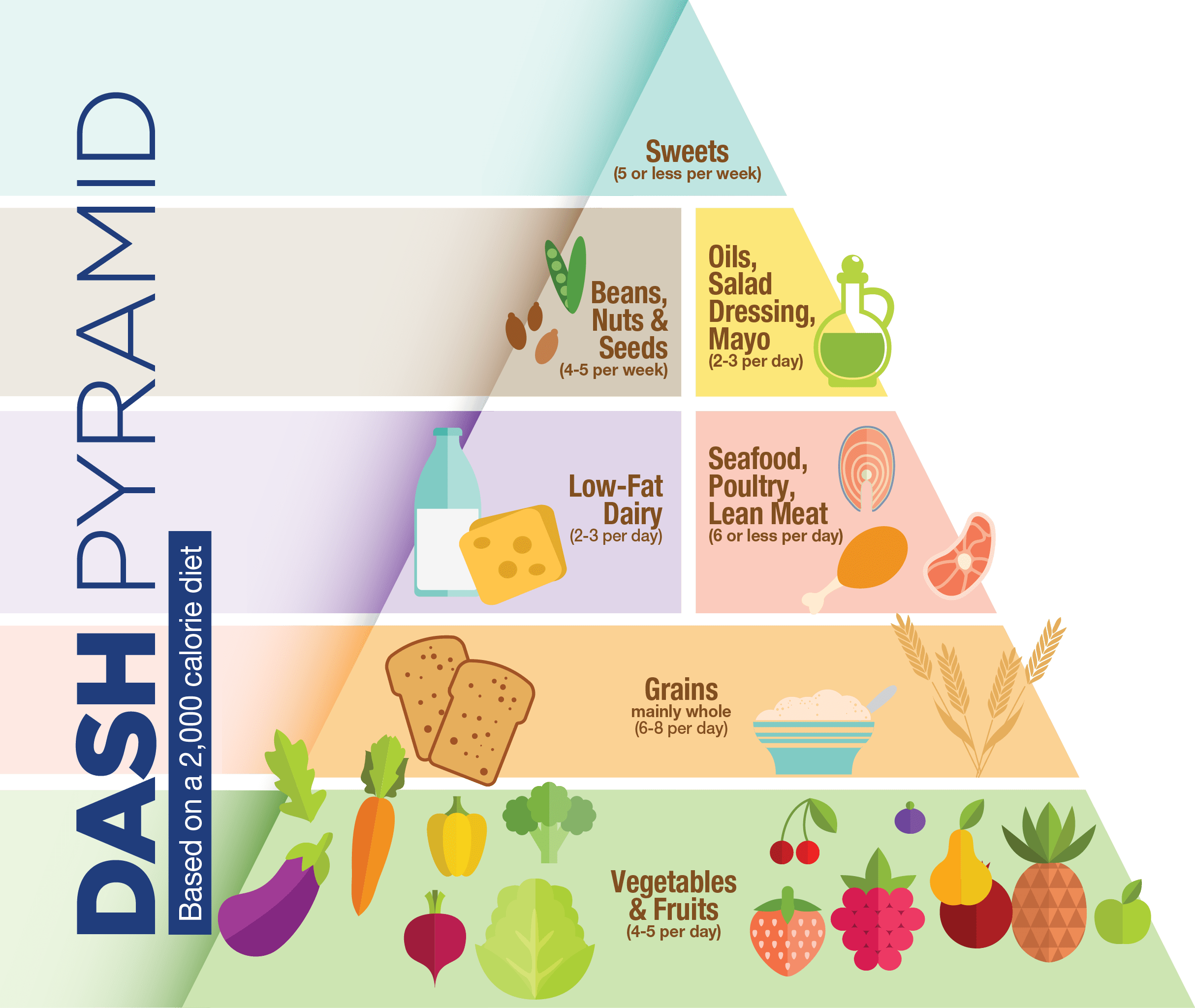 The DASH Diet for the Promotion of Longterm Health — Thrive with Sierra