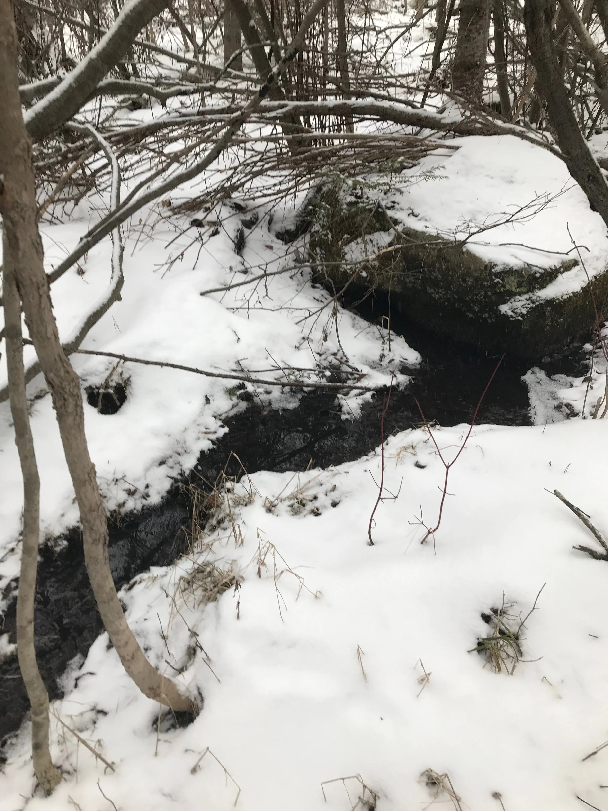 Hiking the “blue” trail.