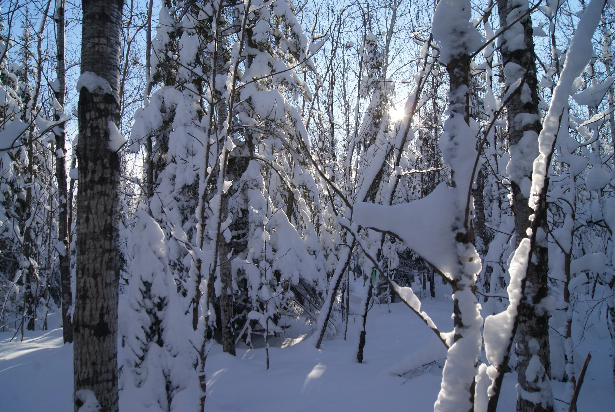 DSC04745.jpg