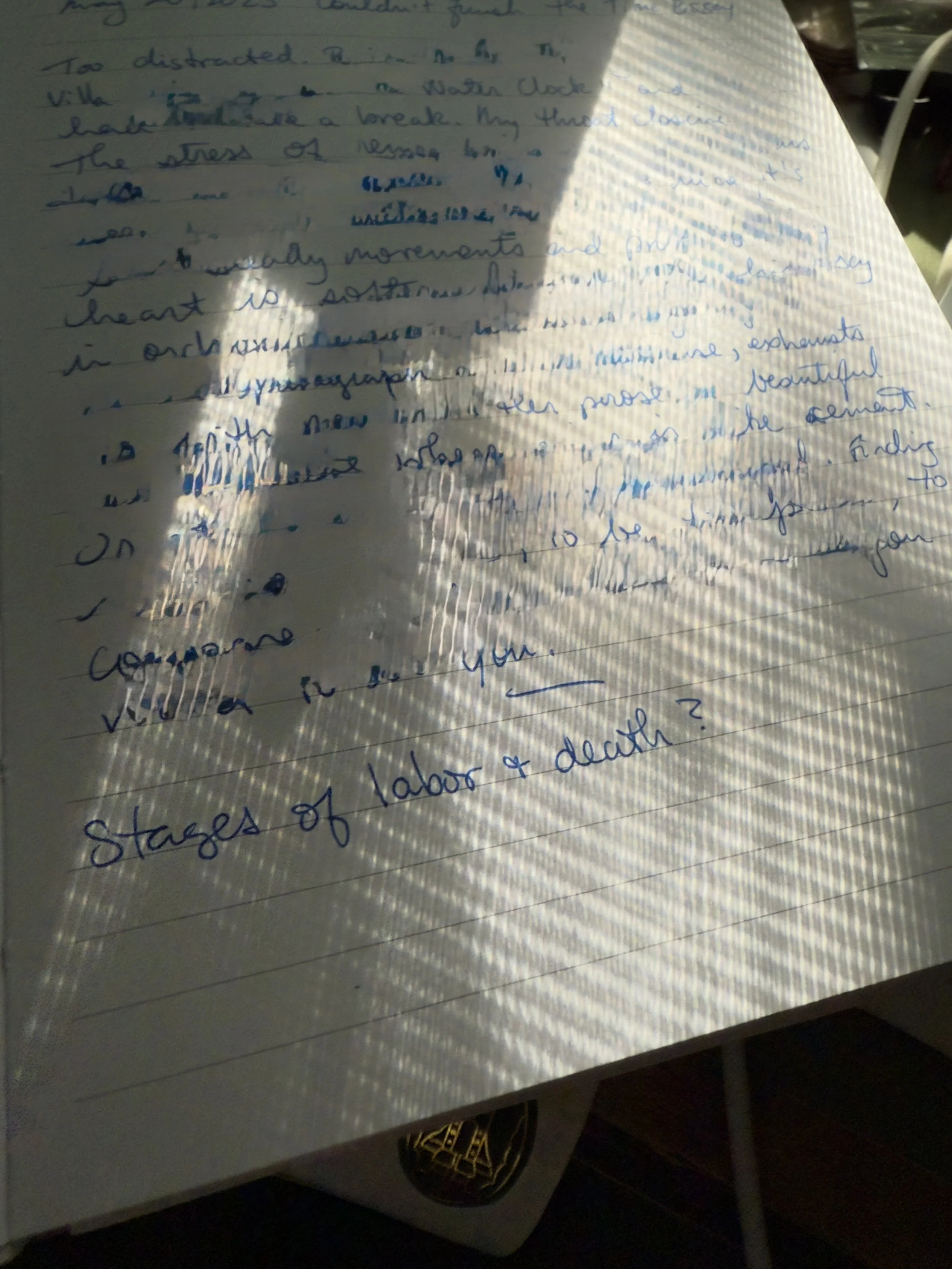 What I Learned Writing Every Weekday Morning in May