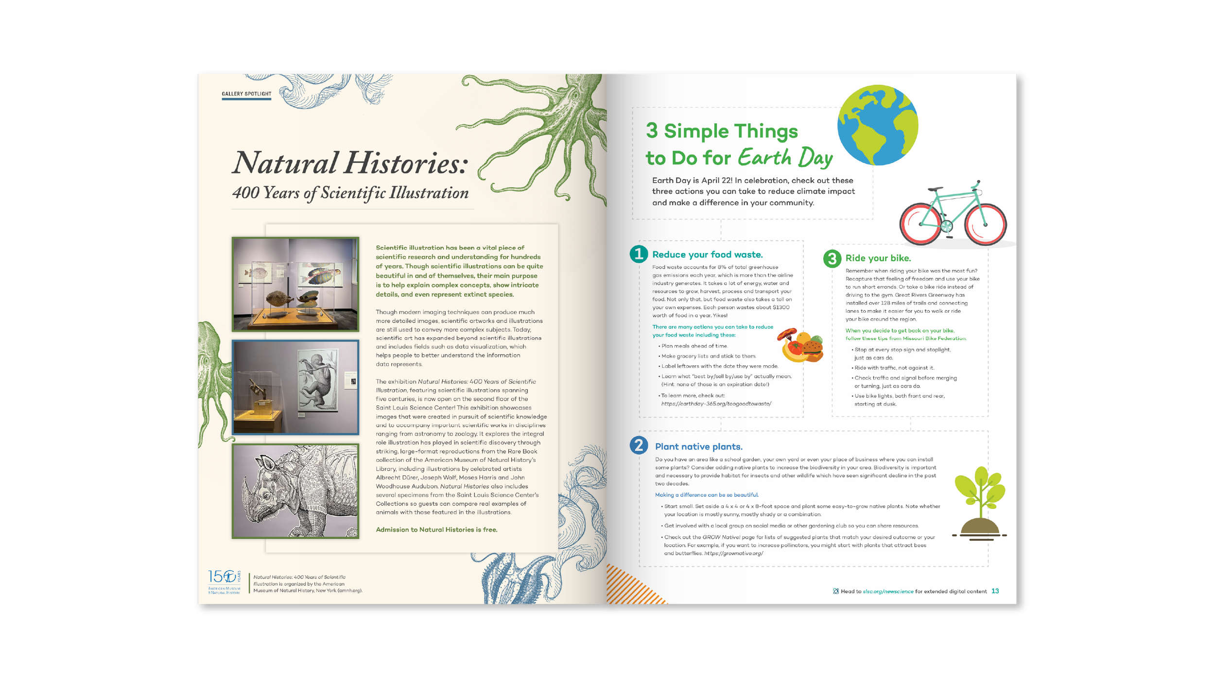 NS Spreads 1 ai-16.png