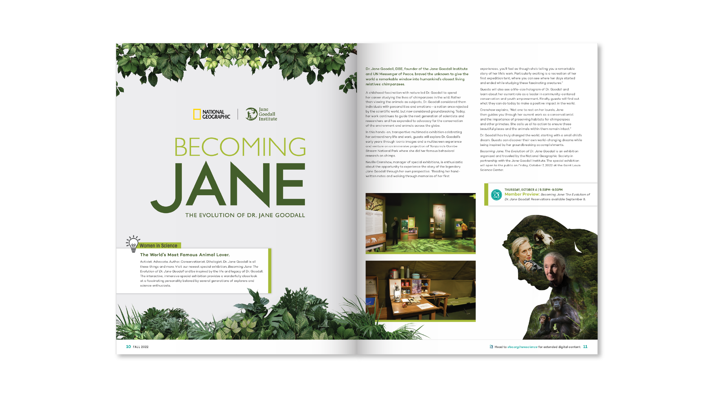 NS Spreads 2 -01.png