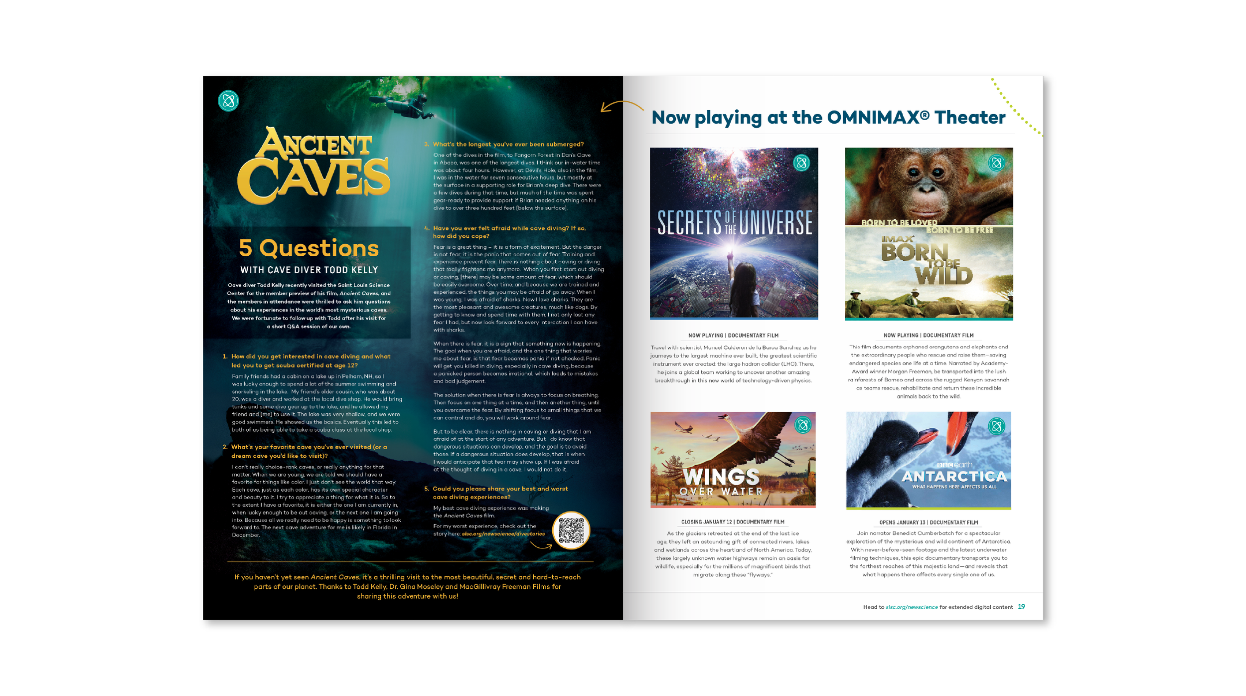 NS Spreads 2 -05.png