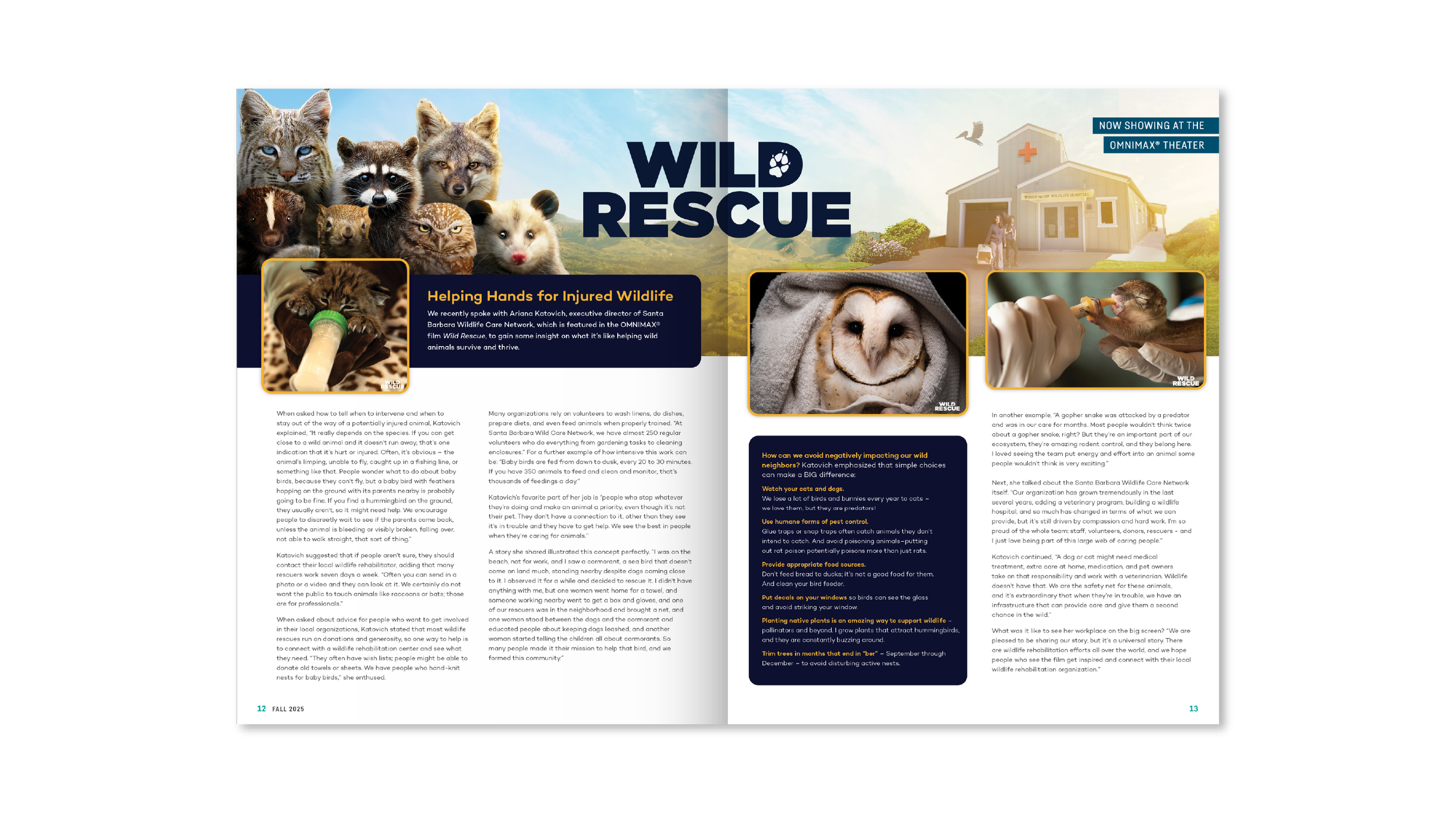 NS Spreads 3 -01.png