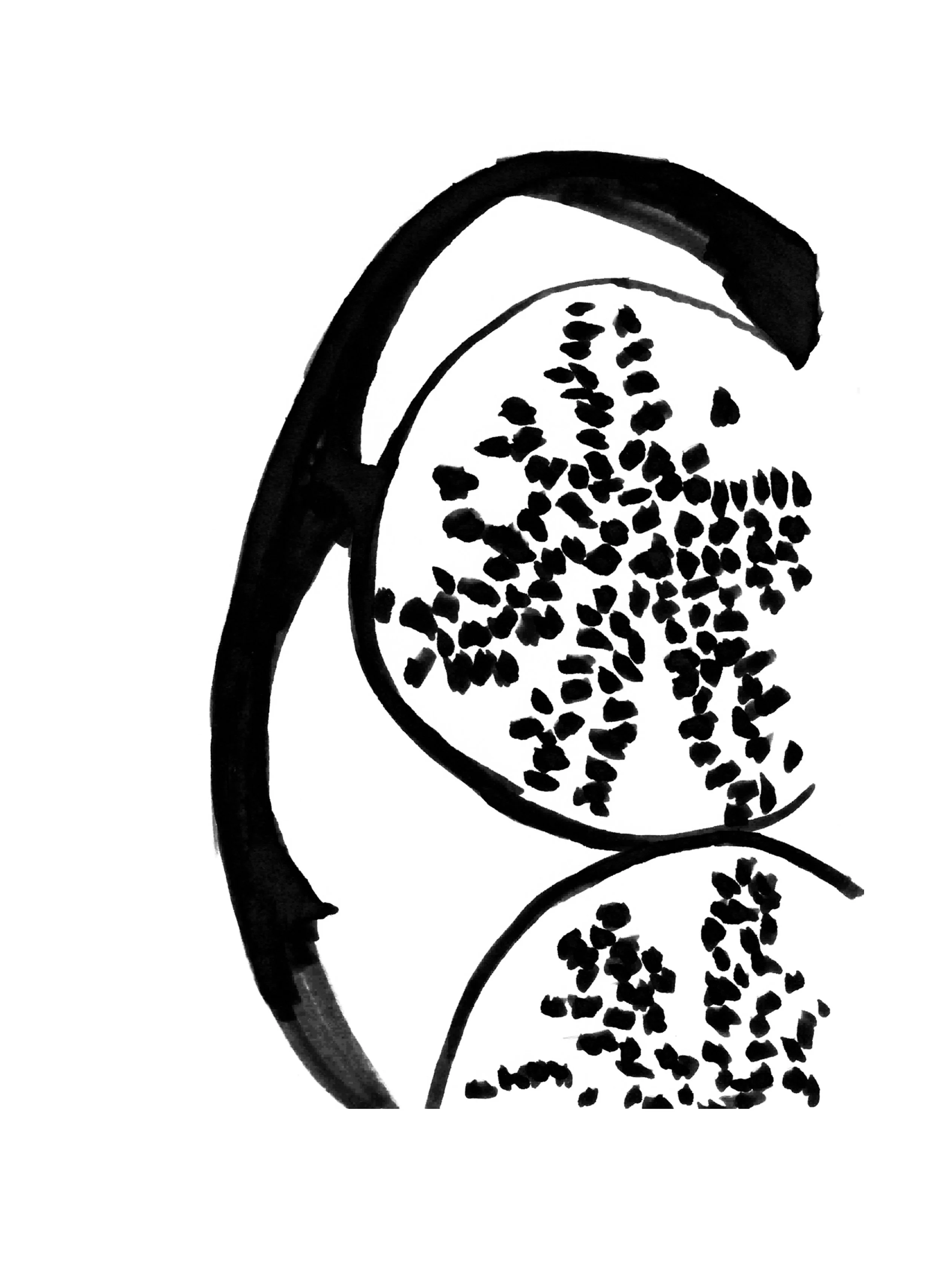 Pommegranate.jpg