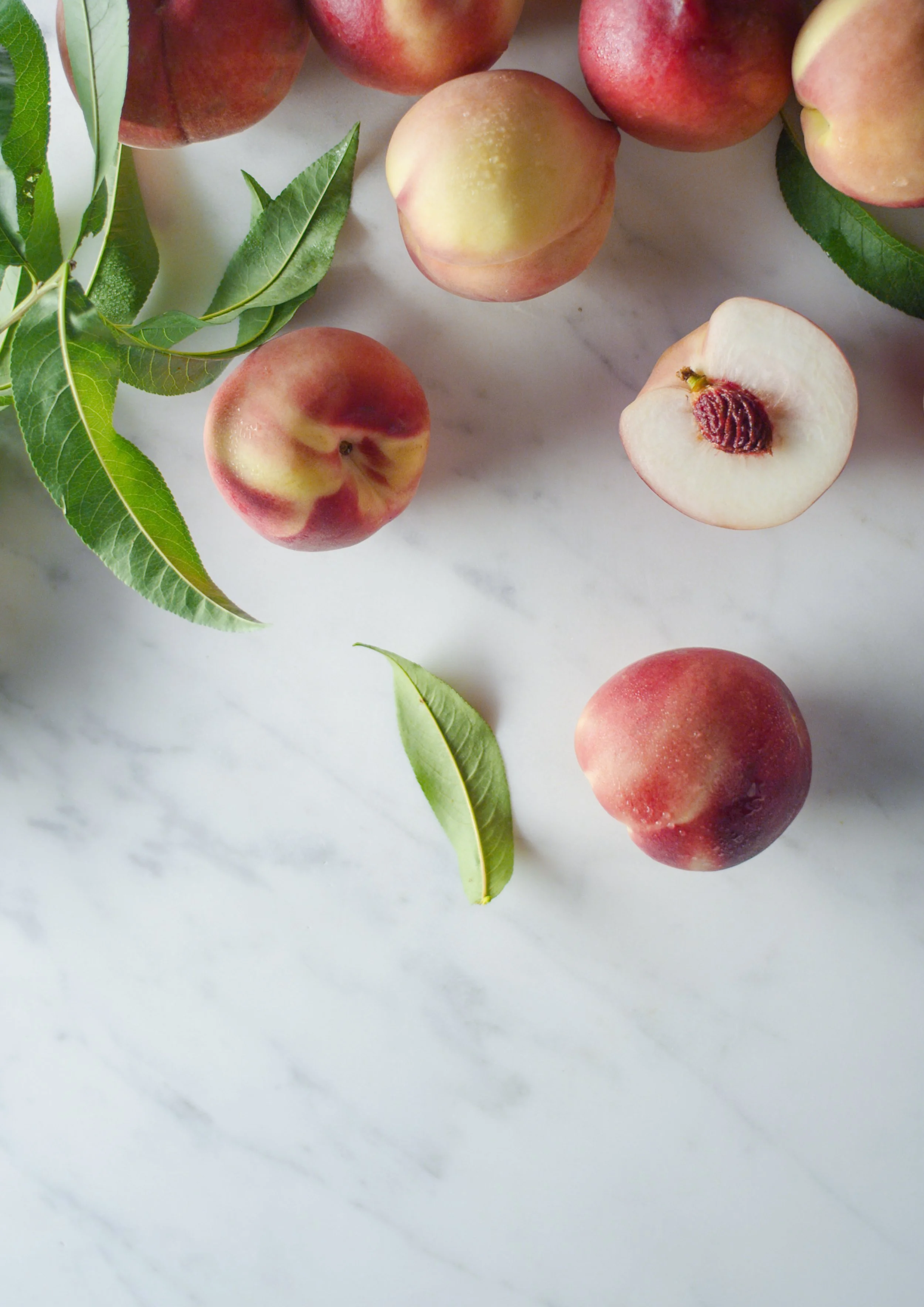 nectarines(1).jpg