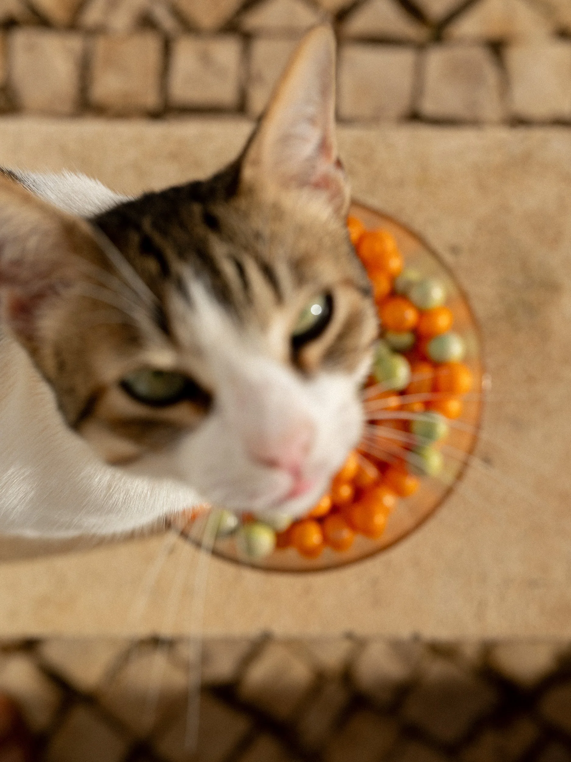 DSCF5857.JPG