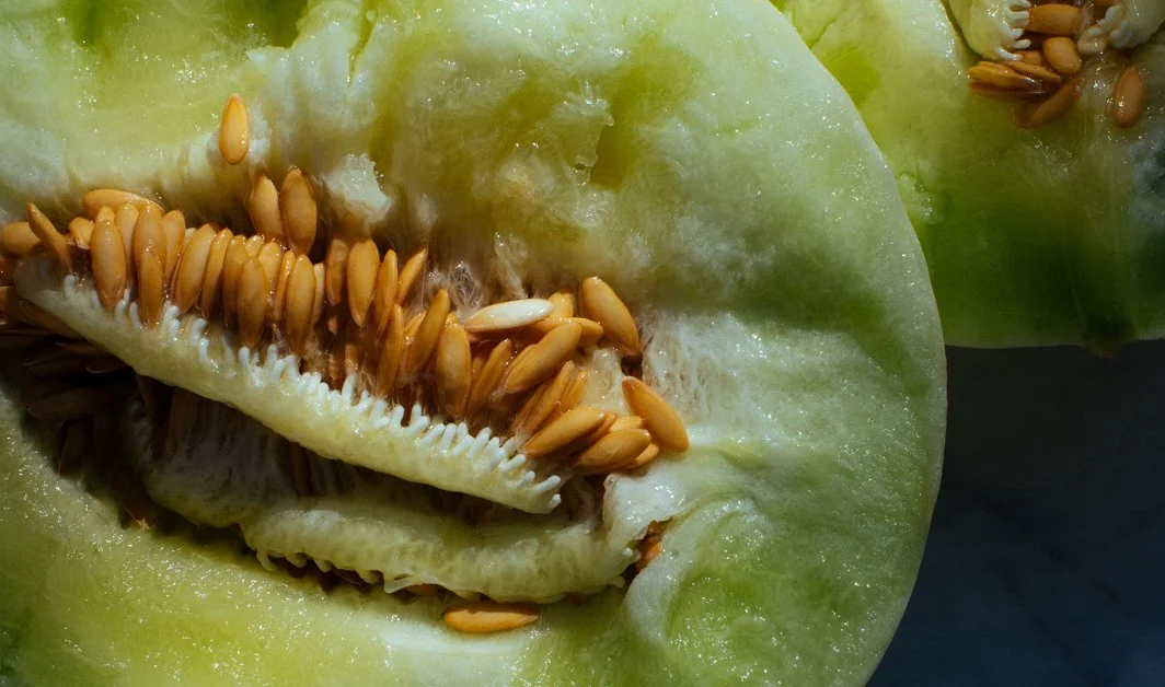 Copy+of+JTW_9672 copy.jpg