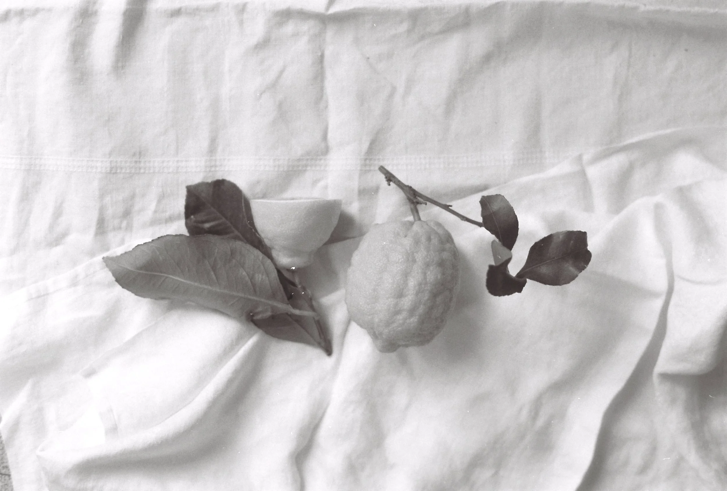 B008498-R1-29-30 copy.JPG