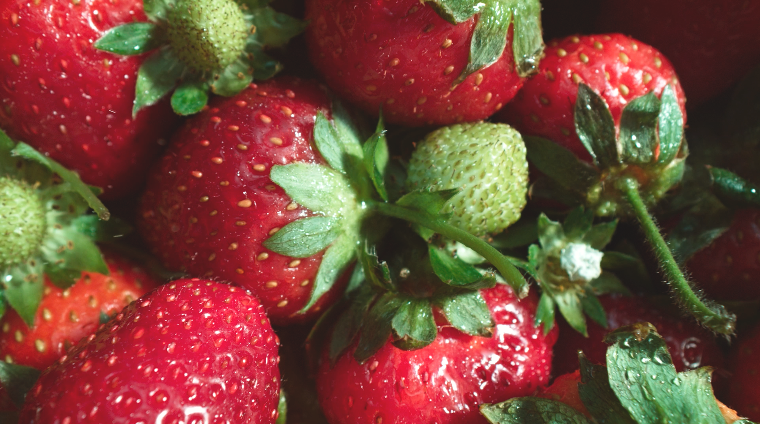 Screen Shot 2025-07-30 at 4.43.36 PM.png