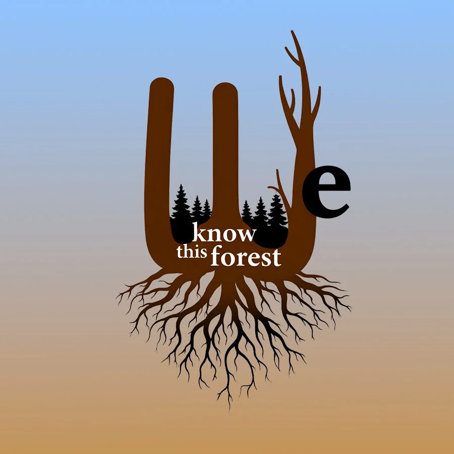 We Know This Forest