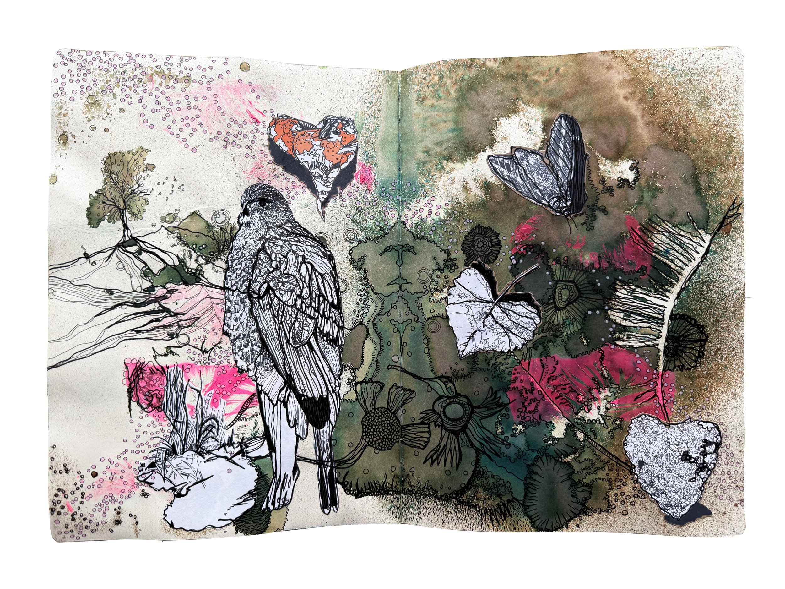 Sketchbook – The Making of "Golden" – edition of 50 printed on Somerset Velvet Archival paper 14"x19", 2026