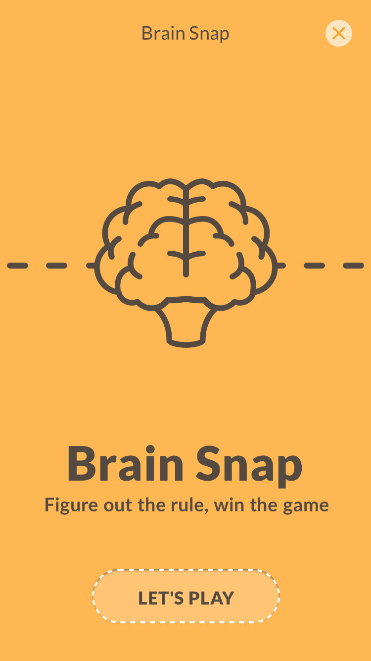 1_Brain-Snap---View-1.jpg